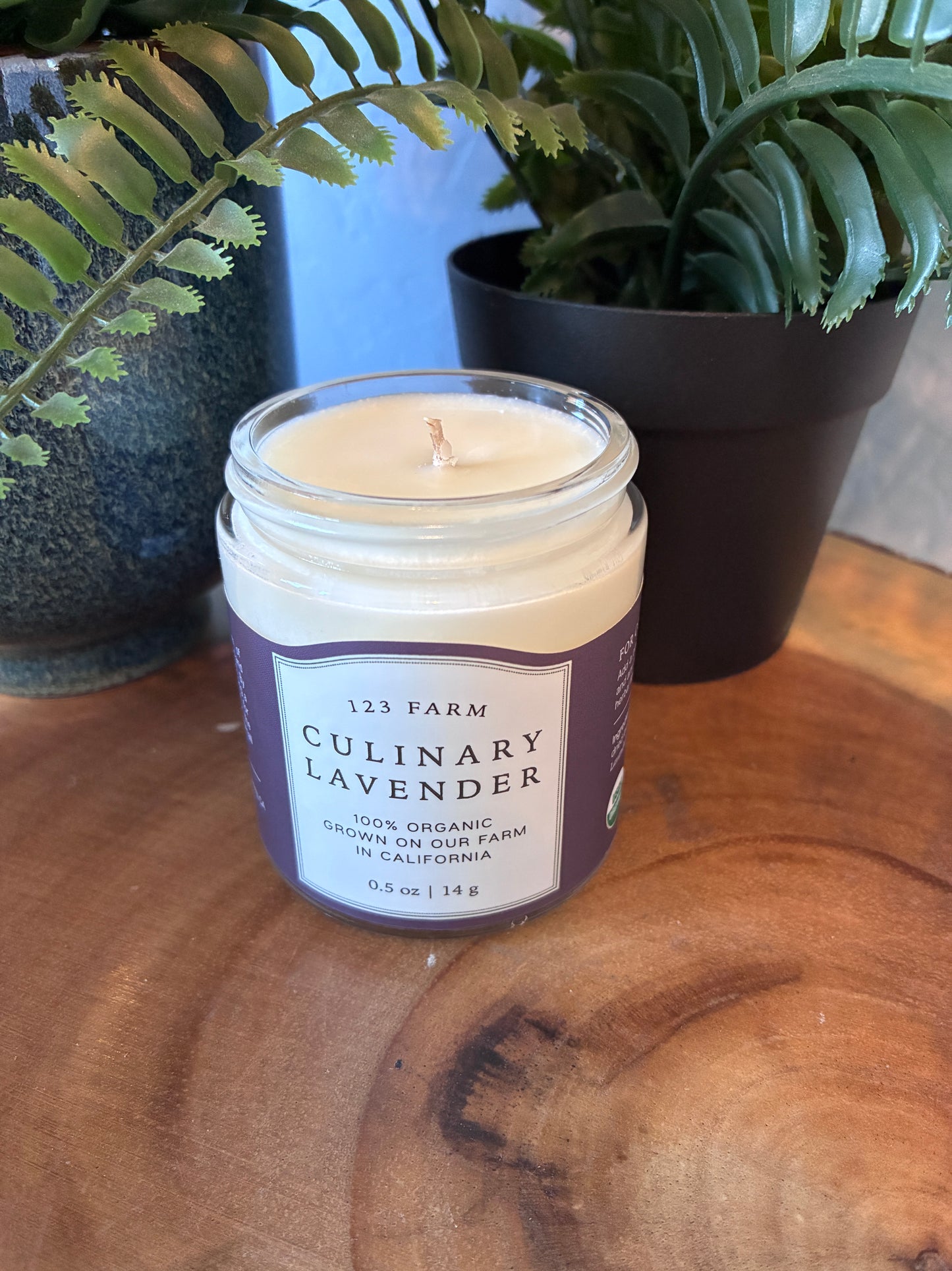 Culinary Lavender Jar Candle