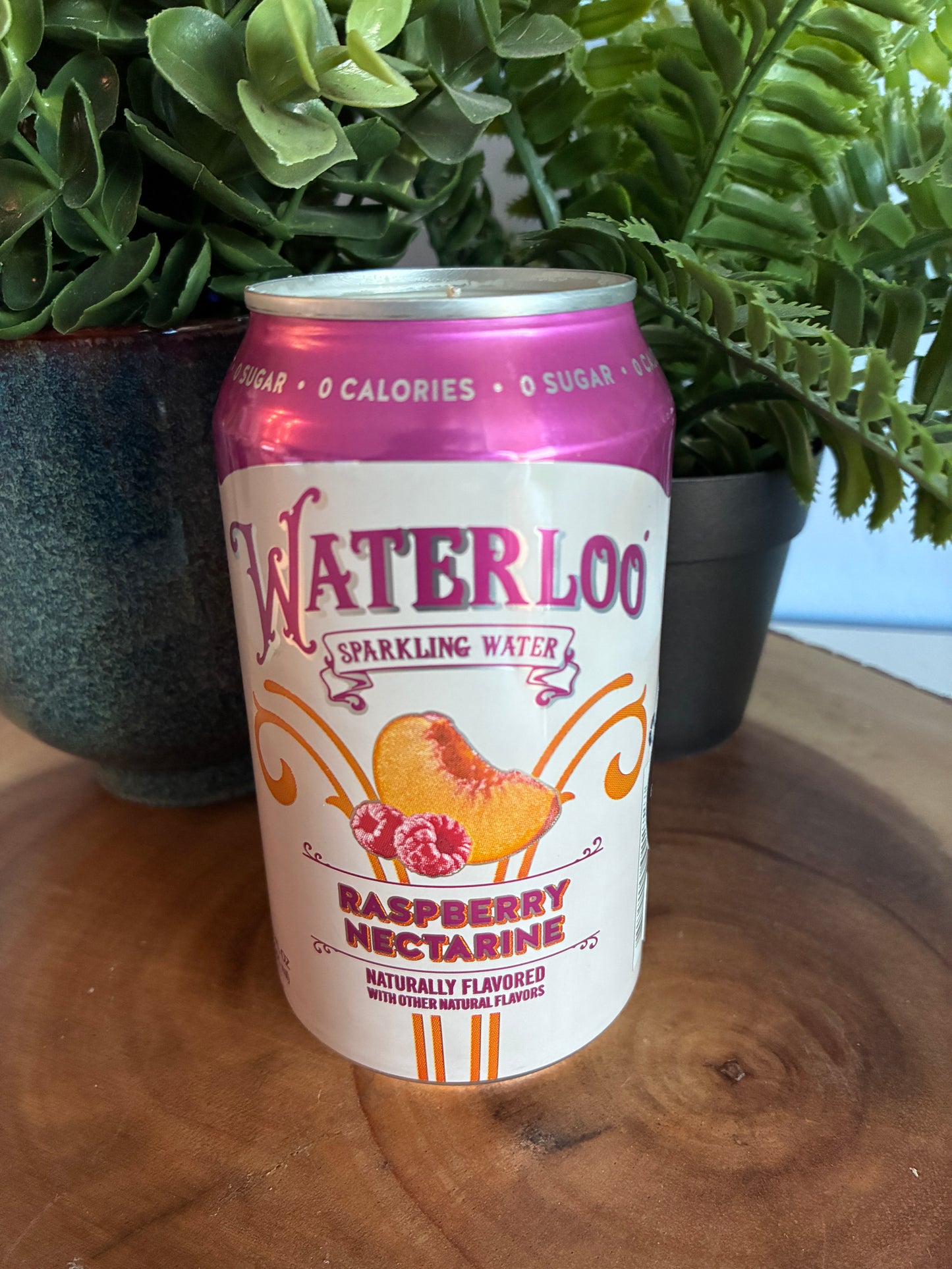 Waterloo 'Raspberry Nectarine' Water Candle