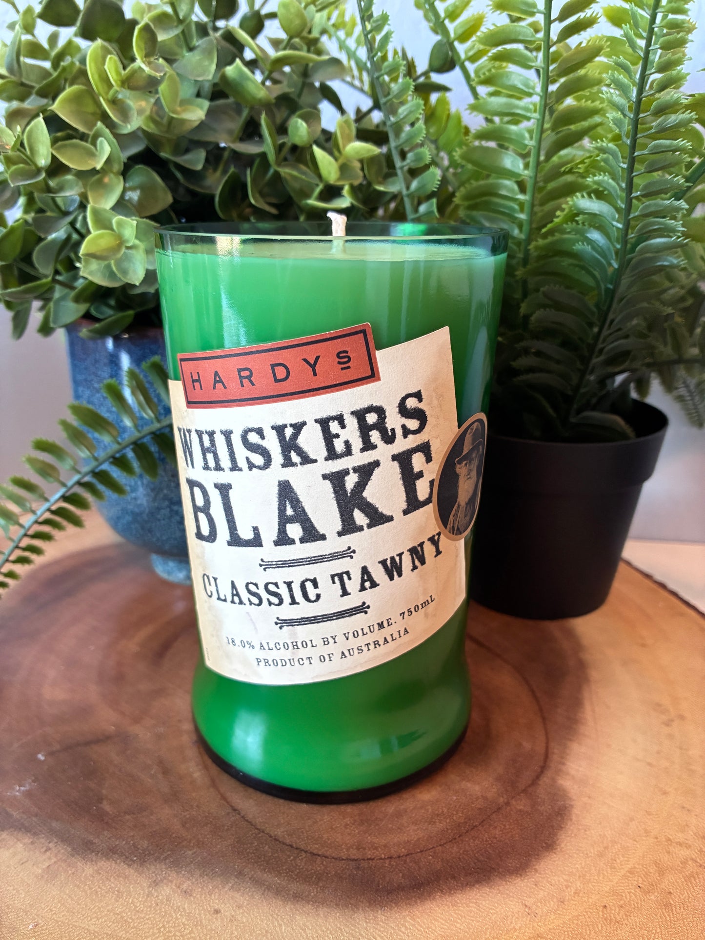 Whiskers Blake Classic Tawny Candle