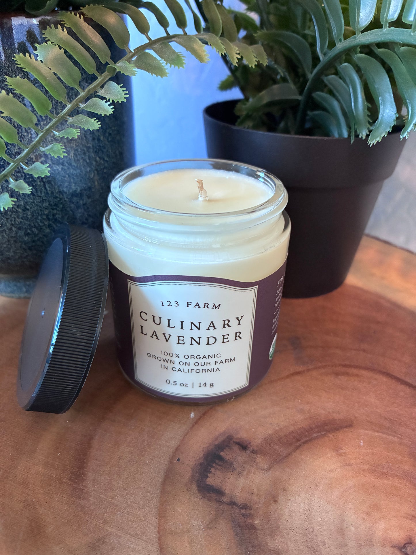 Culinary Lavender Jar Candle