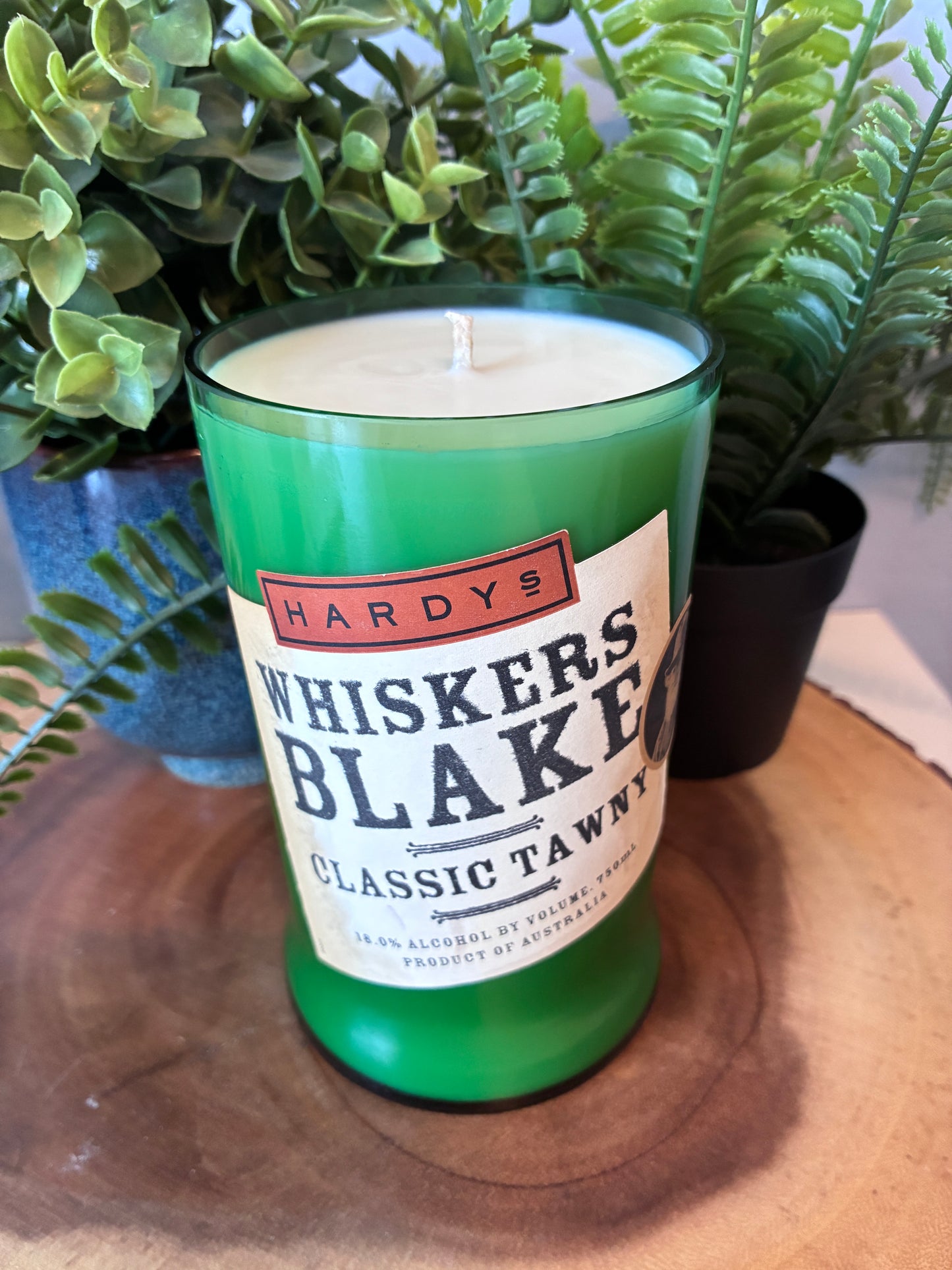 Whiskers Blake Classic Tawny Candle